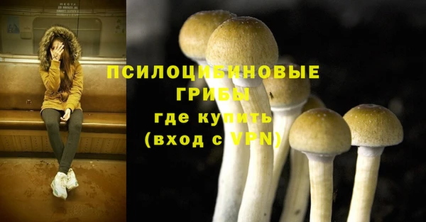прущий лед Абаза