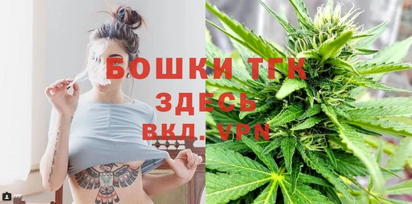 прущий лед Абаза