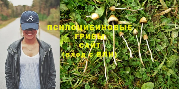 кокс Абинск
